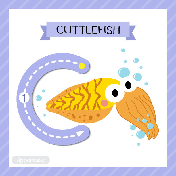 大写字母C跟踪。黄色墨鱼图片下载