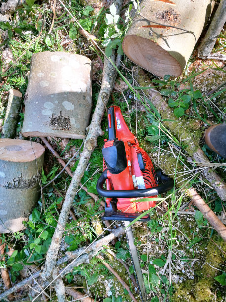 树林里的链锯图片下载