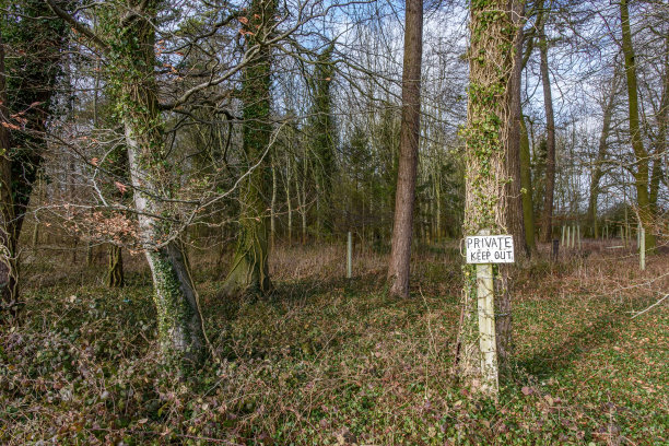 有“禁止入内”标志的林地。图片下载