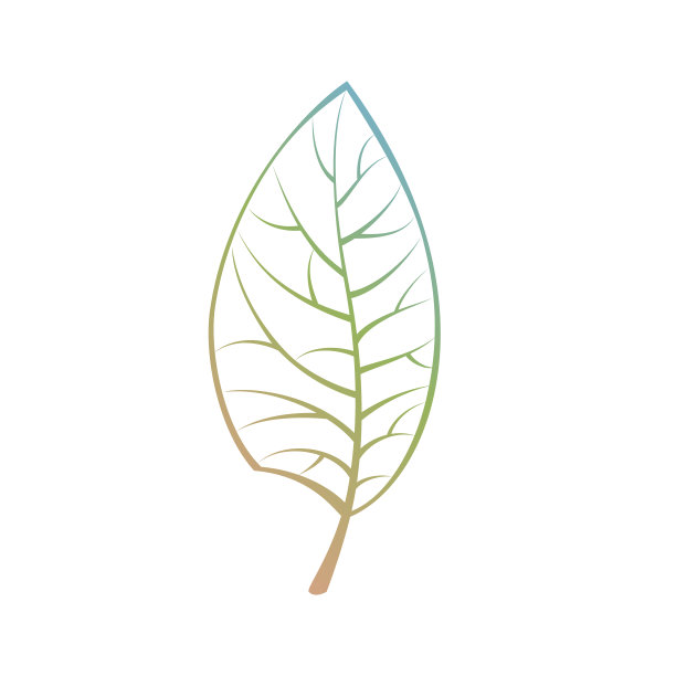 叶与梯度颜色孤立图片下载