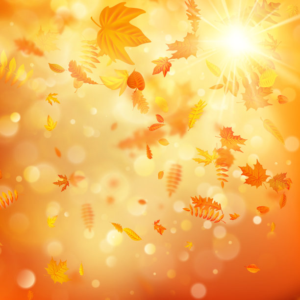 秋天的背景，自然的树叶和明亮的阳光。每股收益10图片下载