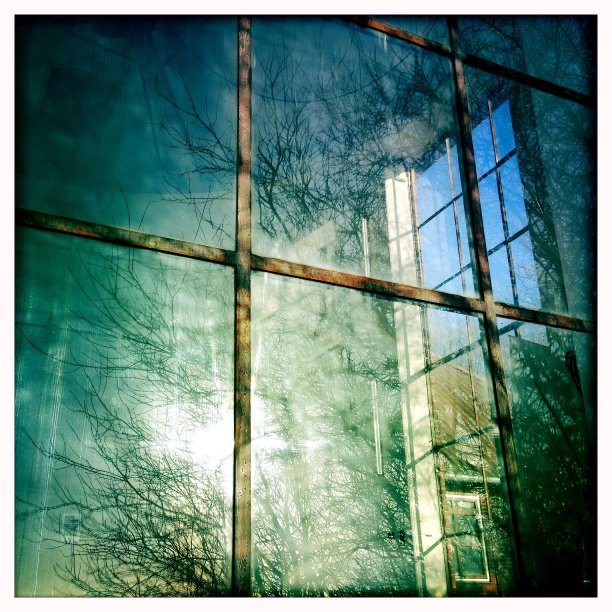 窗前映着树和天空图片下载