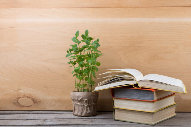 教育和阅读理念——书籍和绿色植物图片下载