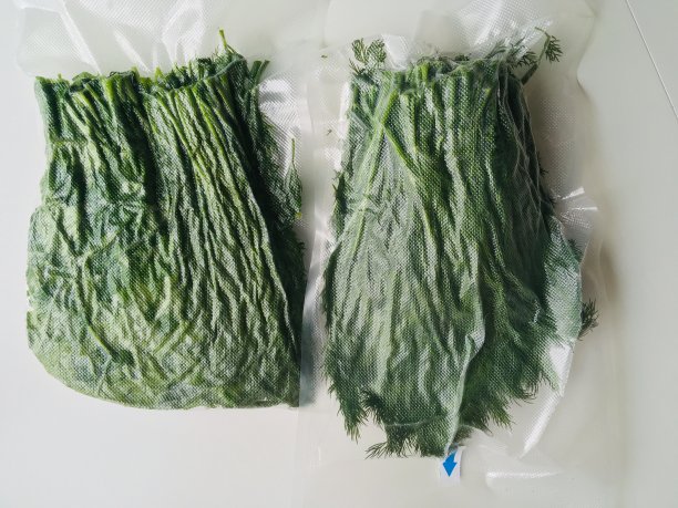 新鲜的莳萝真空包装图片下载