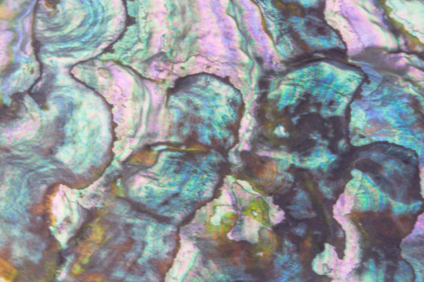 珍珠母paa背景与闪烁的水和淡紫色图片下载