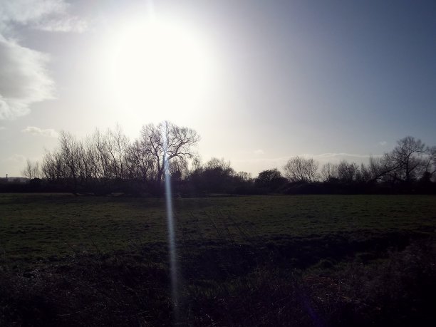 冬天的阳光图片下载