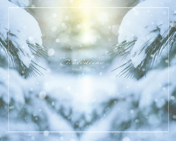 树枝上的冷杉和飘落的雪花在夕阳的光线下图片下载