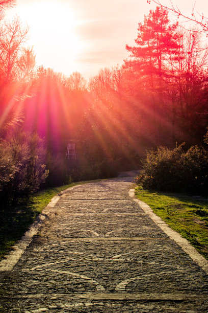 徒步旅行的小路图片下载