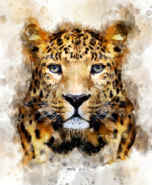 豹-水彩插图肖像图片下载