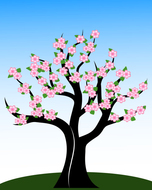 樱花树插图。图片下载