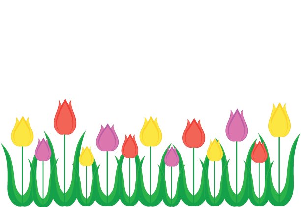 五颜六色的郁金香。集。矢量在白色背景。孤立。节日贺卡。文本的空闲空间图片下载