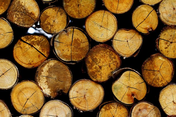 特写的柴火堆图片下载