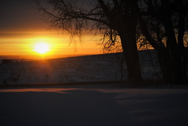 冬日日出时，雪地上出现的阳光图片下载
