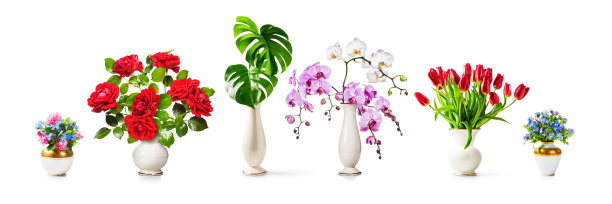 浪漫的花瓶花图片下载