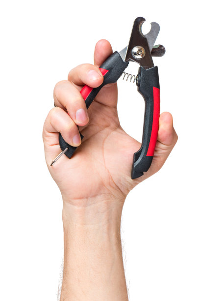 用剪刀做爪子图片下载