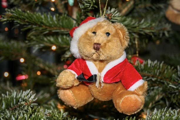 圣诞泰迪熊装饰图片下载