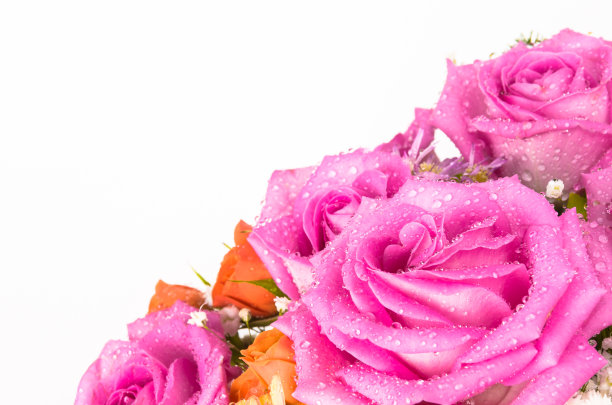 花束，自然背景。图片下载