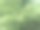 苔藓郁郁葱葱的图片下载