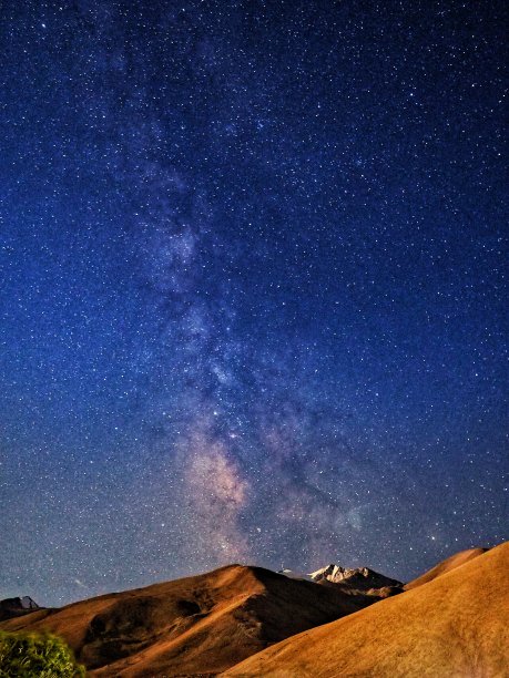 明星的图片下载