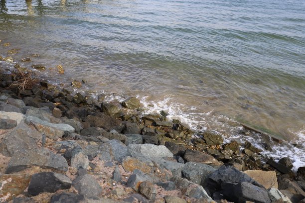 岩石海岸图片下载