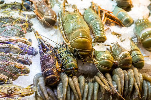 亚洲市场盘海珍奇菜集龙虾虾小龙虾浇冰鲜图片下载