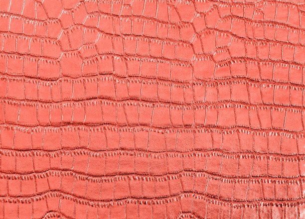 奢华的金色鳄鱼皮背景图片下载