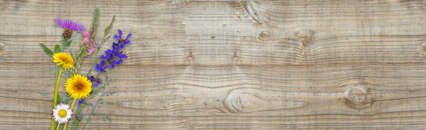木制背景上的野花图片下载
