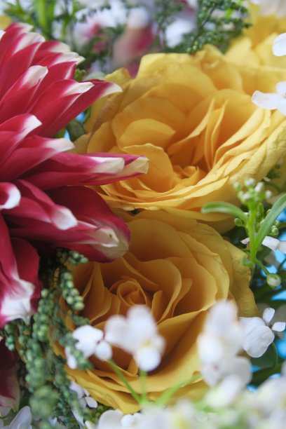 色彩缤纷的插花/花展照片，包括黄色玫瑰、红色和白色的大丽花、白色的gypsophila / baby ' stears、alysum和绿色的叶子图片下载