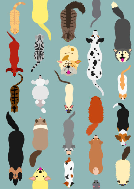 猫狗无缝设计图片下载