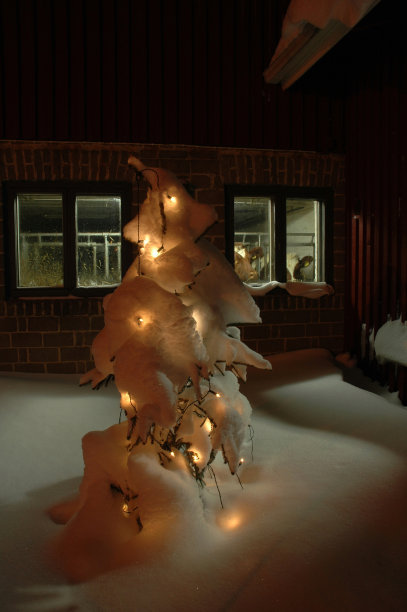 冬天，谷仓外面的圣诞灯下的雪图片下载