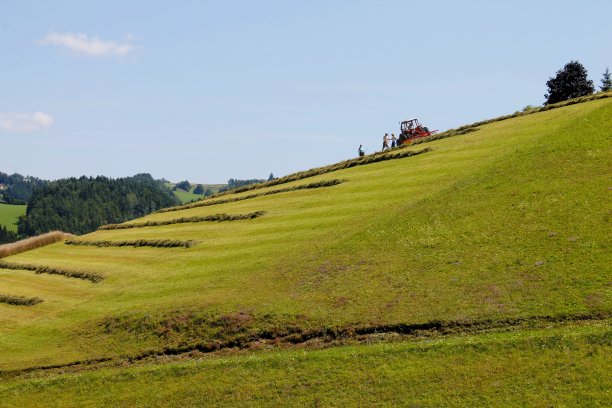 矿工收割牧草图片下载