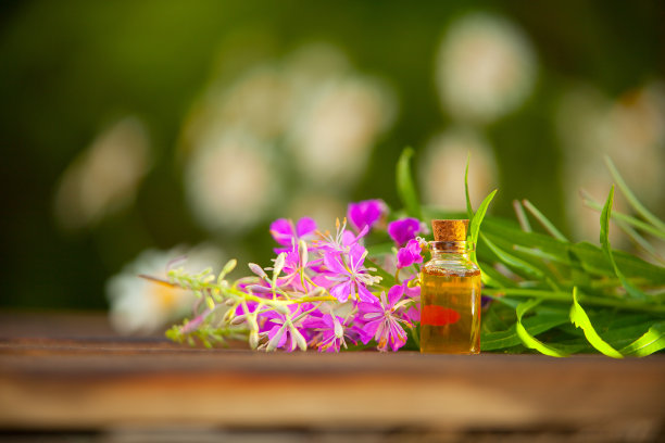 盛开的莎莉精油在漂亮的瓶子在桌子上图片下载