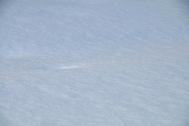 白色的质地，新鲜的雪。图片下载