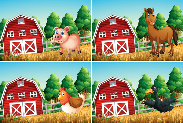 家畜套图片下载