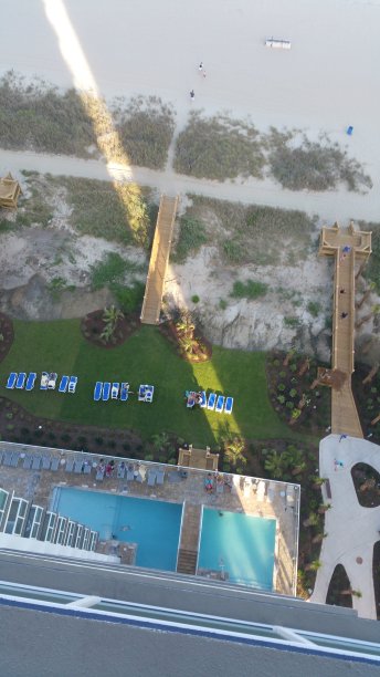 从上面图片下载