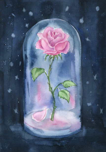 玻璃瓶里的玫瑰。图片下载