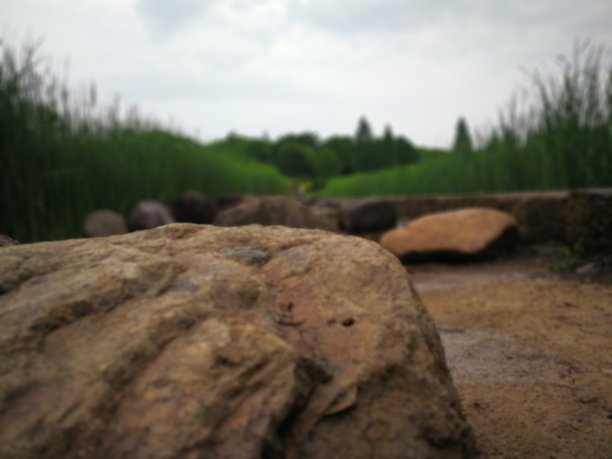 花园里的石头图片下载