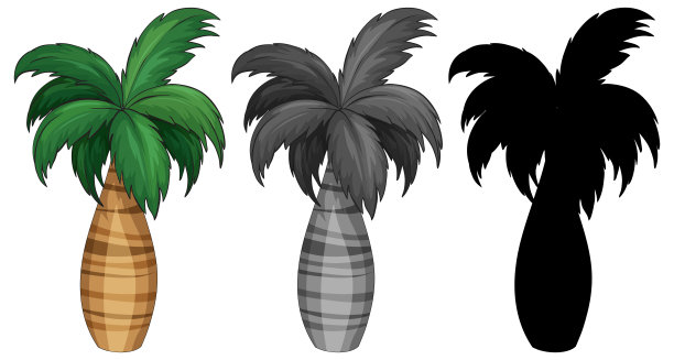 一套棕榈树图片下载
