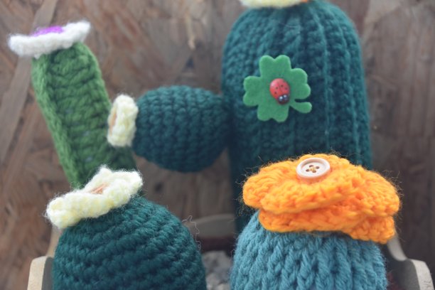 针织套仙人掌图片下载