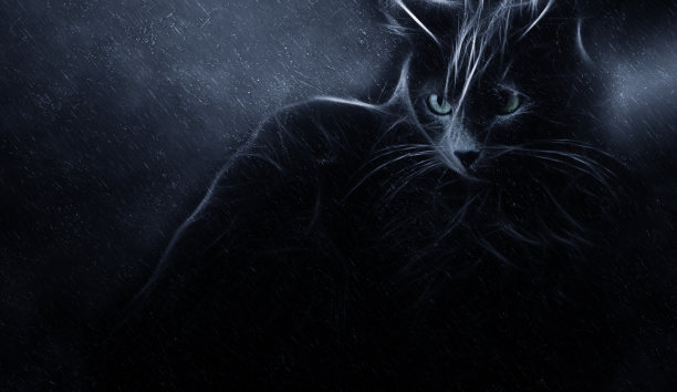 猫的抽象插图图片下载