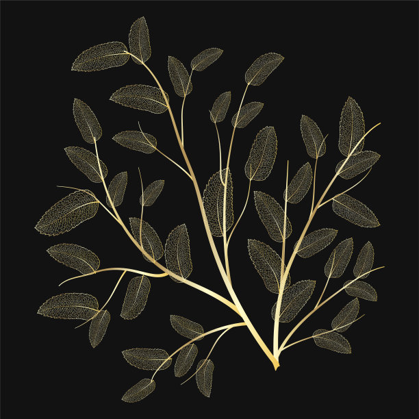 枝具叶脉。图片下载