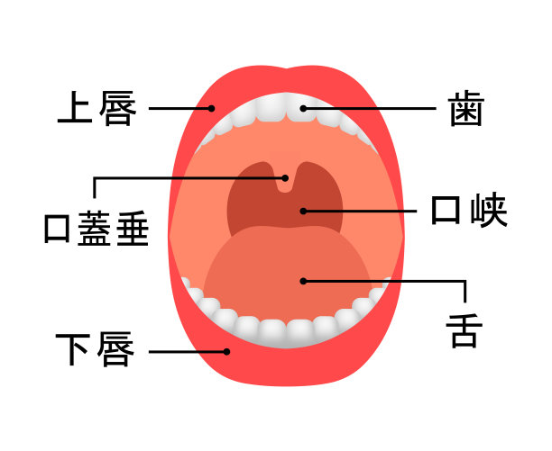 口腔机构图片下载