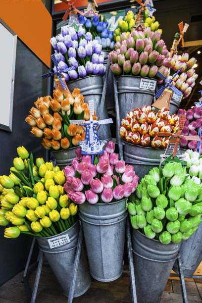 郁金香在市场街上的桶里图片下载