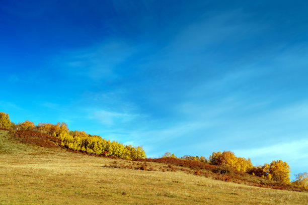 内蒙古的秋季草原图片下载