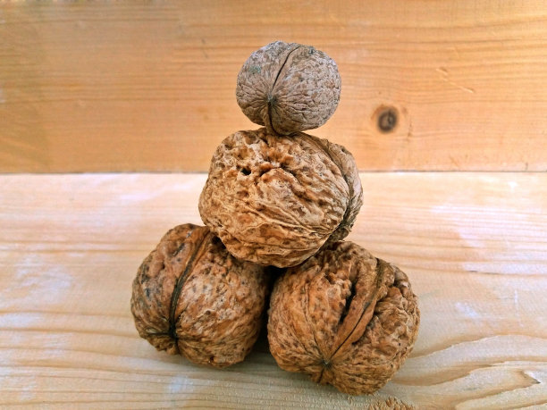 一些大核桃放在木头的背景上图片下载