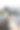 沙发上的狗在看外面的叫声图片下载