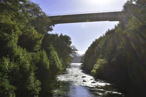科伦托索河的午后阳光。森林的照片图片下载