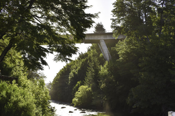 科伦托索河的午后阳光。森林的照片图片下载