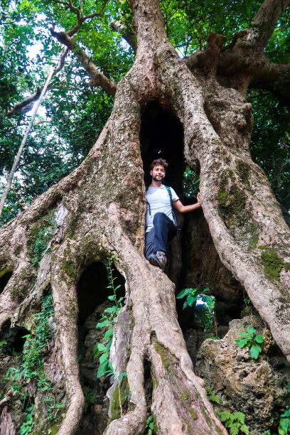 高雄公园图片下载