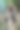 高雄公园图片下载